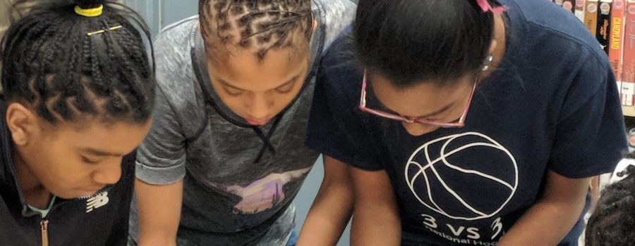 Circuits and Coding Summer Camp for Middle and High School Girls at the Detroit Public Library, Redford Branch.